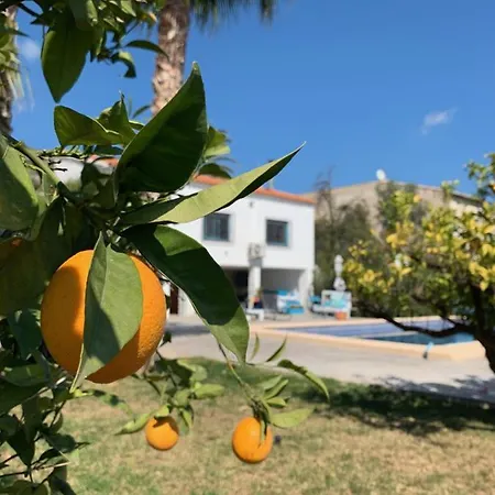 Panzió Casa Alestelou Tormos