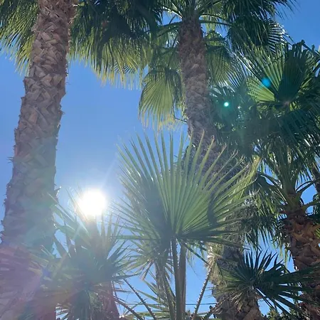 Casa Alestelou Panzió 4*