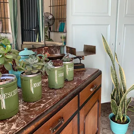 Casa Alestelou Panzió 4*